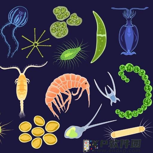 筑牢农业发展“耕”基